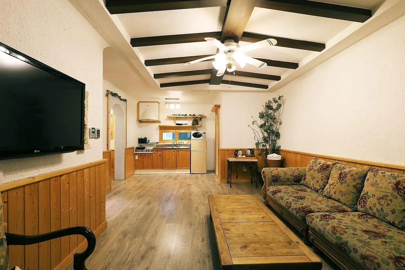 Incheon Airport Oceanside Hotel 3*,