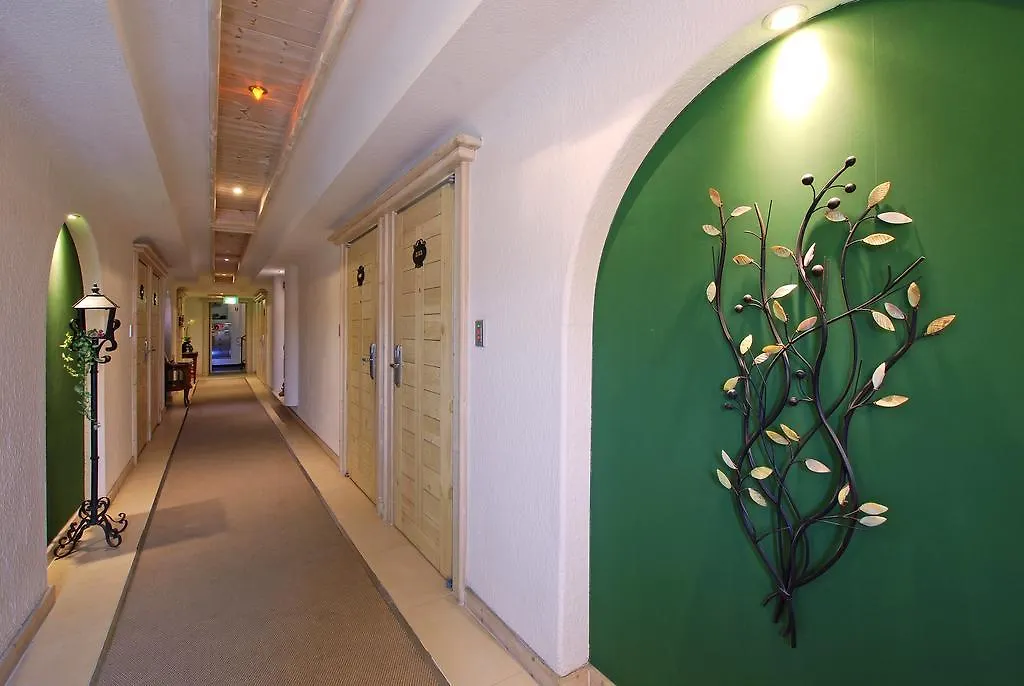Incheon Airport Oceanside Hotel 3*,  South Korea